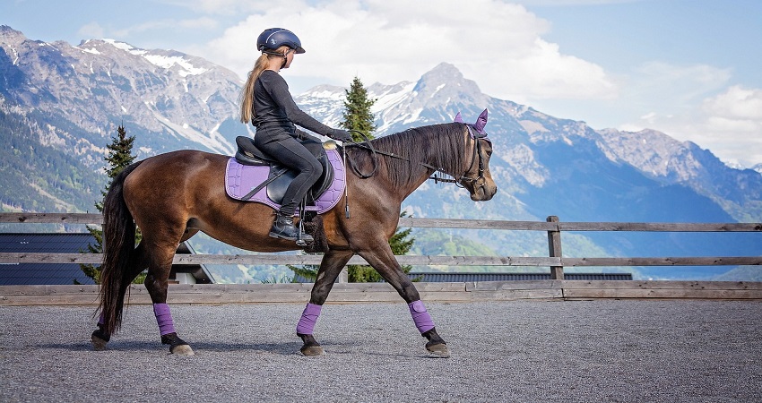 Can You Wear a Horse Riding Helmet on a Bike.jpg